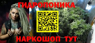 гидра Можга